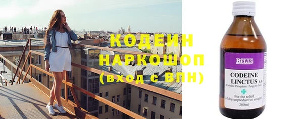 прущие грибы Надым