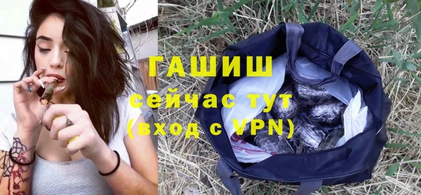 прущие грибы Надым