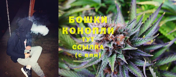 ГАЛЛЮЦИНОГЕННЫЕ ГРИБЫ Волгодонск