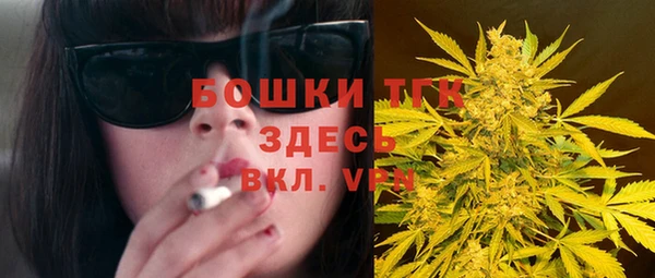 прущие грибы Надым
