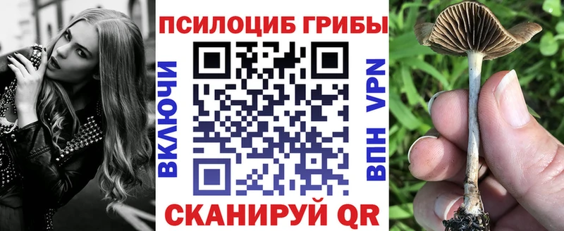 Галлюциногенные грибы MAGIC MUSHROOMS наркота Ковров
