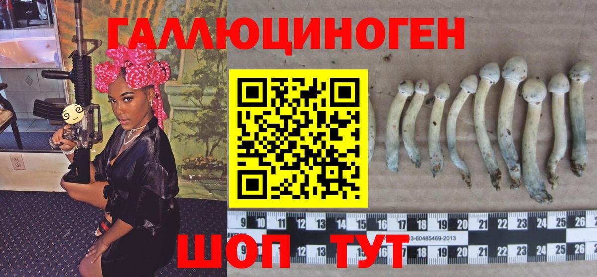 Галлюциногенные грибы Cubensis  Вход с VPN  как найти закладки  Галлюциногенные грибы прущие грибы  Ковров 